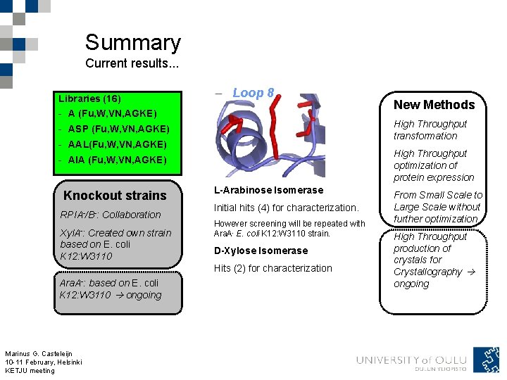 Summary Current results. . . Libraries (16) Loop 8 - A (Fu, W, VN,