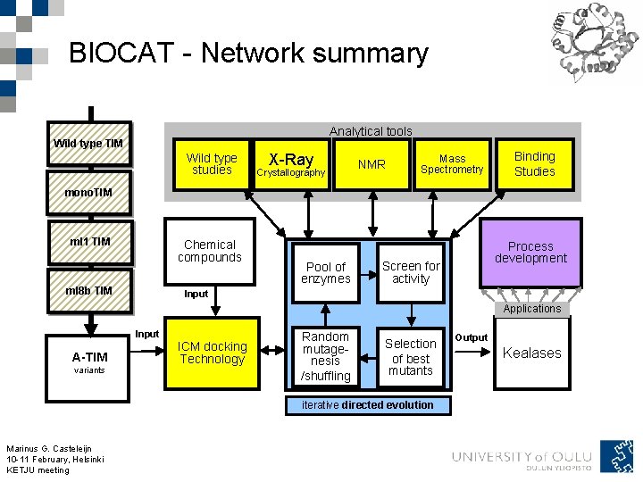 BIOCAT - Network summary Analytical tools Wild type TIM Wild type studies X-Ray Crystallography