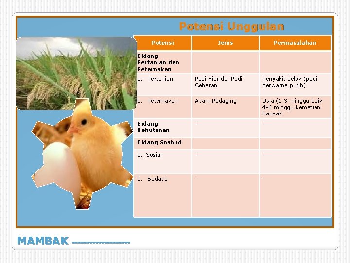 Potensi Unggulan Potensi Jenis Permasalahan Bidang Pertanian dan Peternakan a. Pertanian Padi Hibrida, Padi Potensi Unggulan Potensi Jenis Permasalahan Bidang Pertanian dan Peternakan a. Pertanian Padi Hibrida, Padi