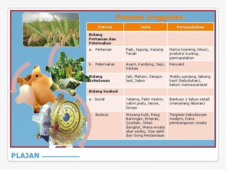 Potensi Unggulan Potensi Jenis Permasalahan Bidang Pertanian dan Peternakan a. Pertanian Padi, Jagung, Kacang