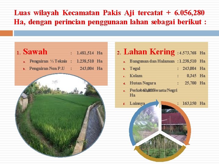 Luas wilayah Kecamatan Pakis Aji tercatat + 6. 056, 280 Ha, dengan perincian penggunaan Luas wilayah Kecamatan Pakis Aji tercatat + 6. 056, 280 Ha, dengan perincian penggunaan