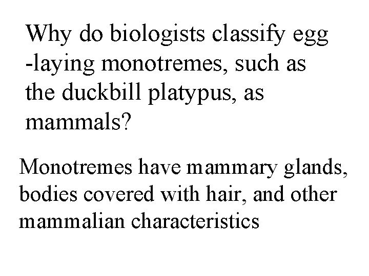 Why do biologists classify egg -laying monotremes, such as the duckbill platypus, as mammals?