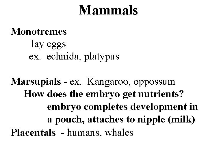 Mammals Monotremes lay eggs ex. echnida, platypus Marsupials - ex. Kangaroo, oppossum How does