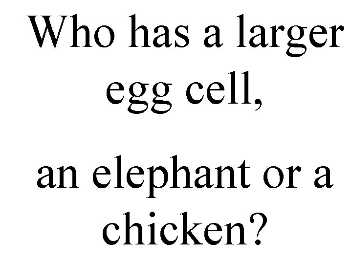 Who has a larger egg cell, an elephant or a chicken? 