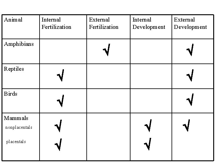 Animal Internal Fertilization Amphibians Reptiles Birds Mammals nonplacentals External Fertilization Internal Development External Development