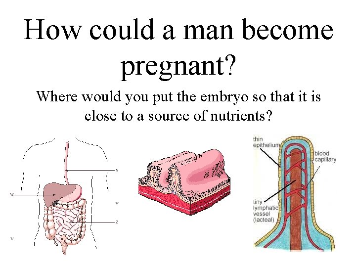 How could a man become pregnant? Where would you put the embryo so that