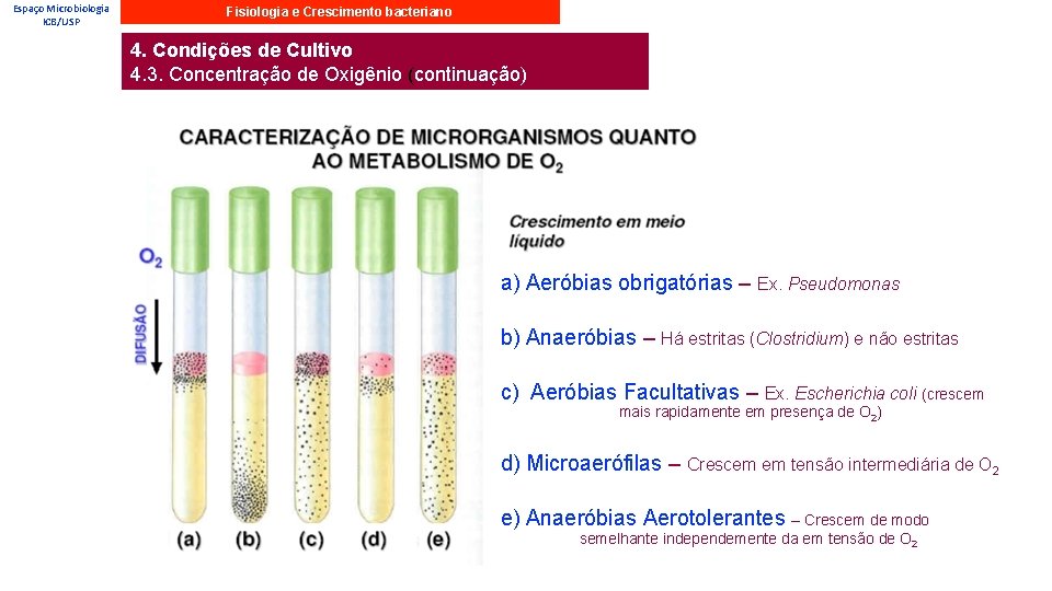 Espaço Microbiologia ICB/USP Fisiologia e Crescimento bacteriano 4. Condições de Cultivo 4. 3. Concentração