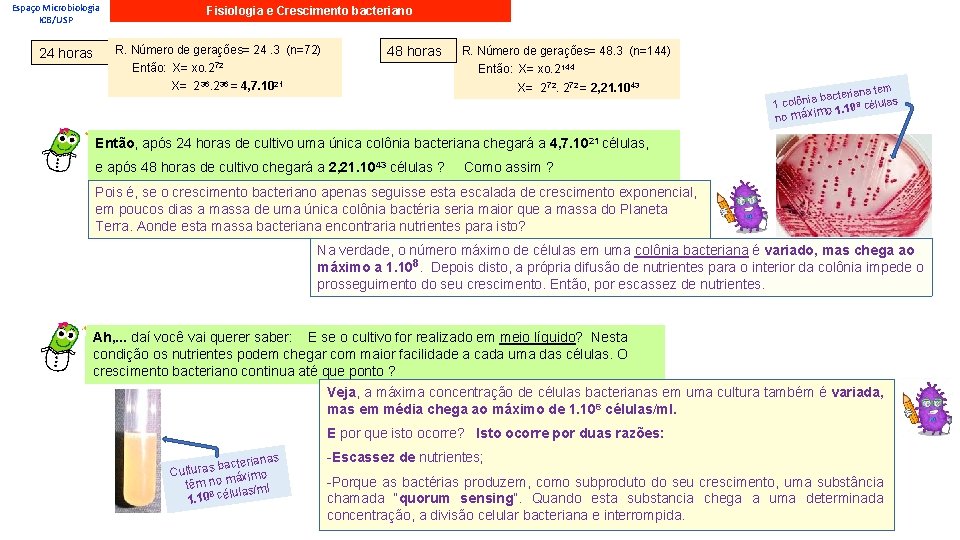 Espaço Microbiologia ICB/USP 24 horas Fisiologia e Crescimento bacteriano R. Número de gerações= 24.