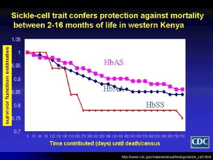 http: //www. cdc. gov/malaria/about/biology/sickle_cell. html 