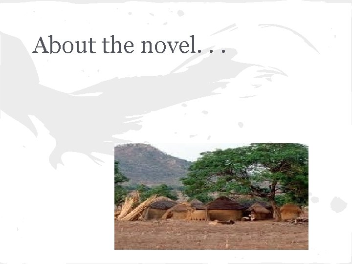 About the novel. . . 