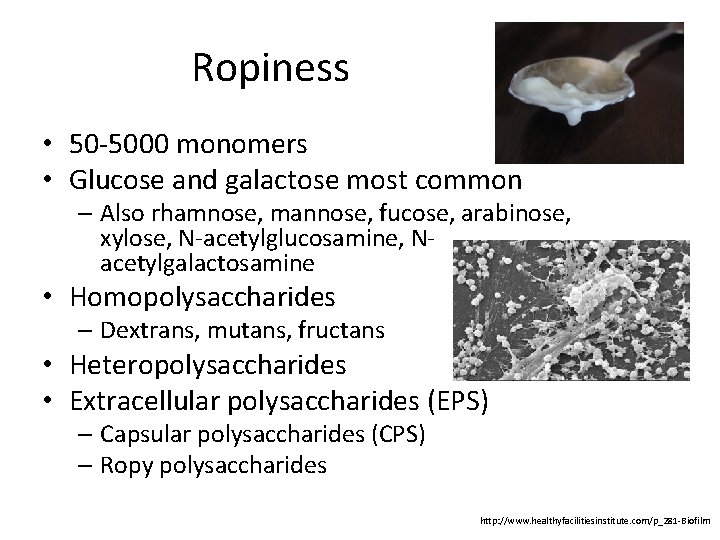 Ropiness • 50 -5000 monomers • Glucose and galactose most common – Also rhamnose,