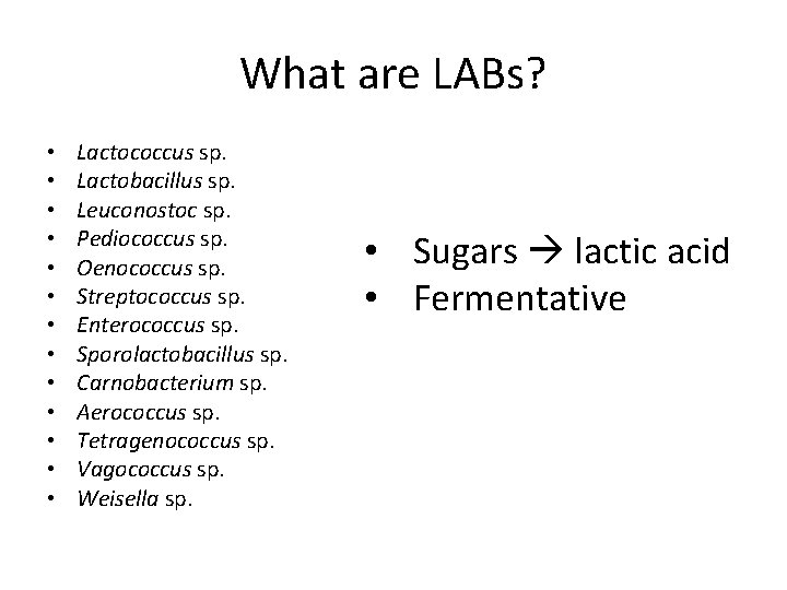 What are LABs? • • • • Lactococcus sp. Lactobacillus sp. Leuconostoc sp. Pediococcus