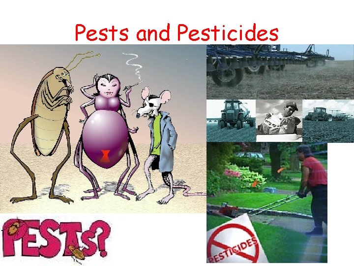 Pests and Pesticides 