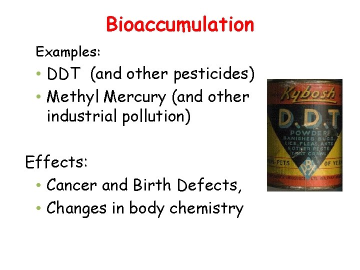 Bioaccumulation Examples: • DDT (and other pesticides) • Methyl Mercury (and other industrial pollution)