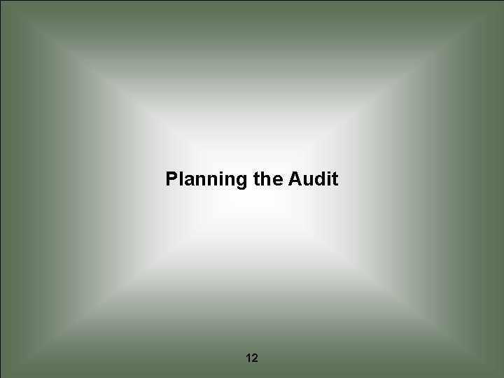 Planning the Audit 12 