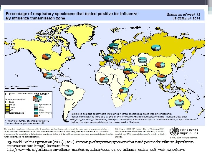 13. World Health Organization (WHO). (2014). Percentage of respiratory specimens that tested positive for