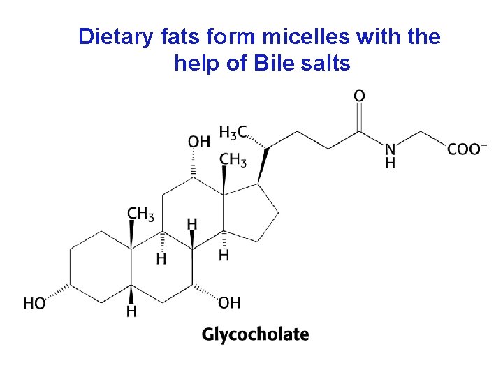 Dietary fats form micelles with the help of Bile salts 