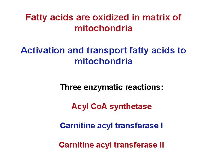 Fatty acids are oxidized in matrix of mitochondria Activation and transport fatty acids to