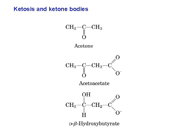 Ketosis and ketone bodies 