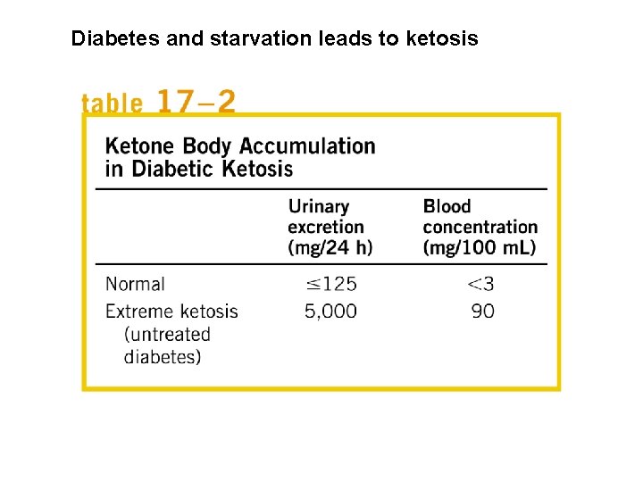 Diabetes and starvation leads to ketosis 