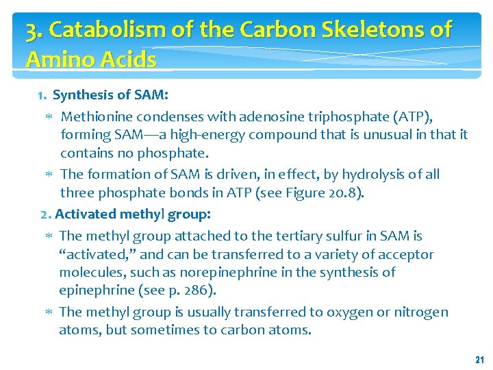 3. Catabolism of the Carbon Skeletons of Amino Acids 1. Synthesis of SAM: Methionine