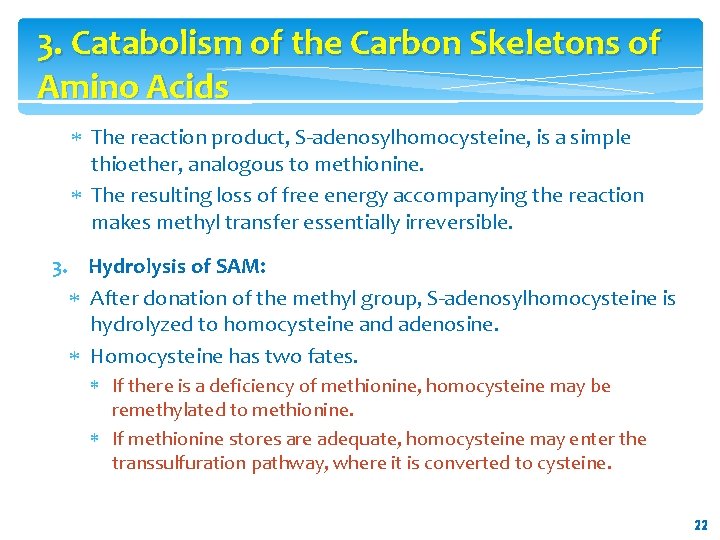 3. Catabolism of the Carbon Skeletons of Amino Acids The reaction product, S-adenosylhomocysteine, is