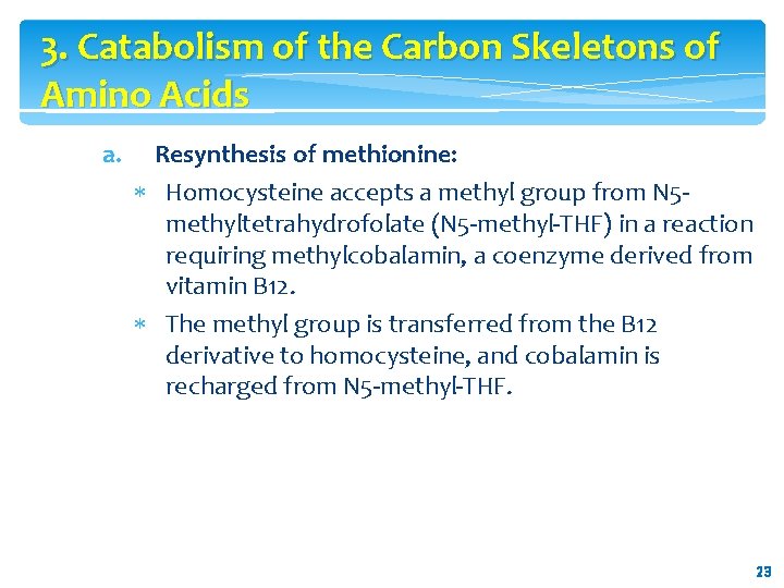 3. Catabolism of the Carbon Skeletons of Amino Acids a. Resynthesis of methionine: Homocysteine