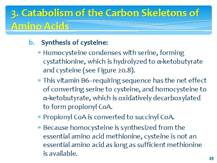 3. Catabolism of the Carbon Skeletons of Amino Acids b. Synthesis of cysteine: Homocysteine