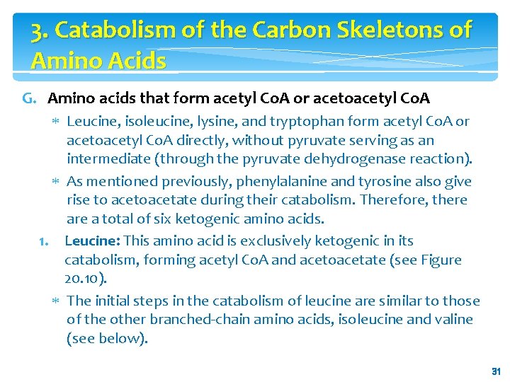 3. Catabolism of the Carbon Skeletons of Amino Acids G. Amino acids that form