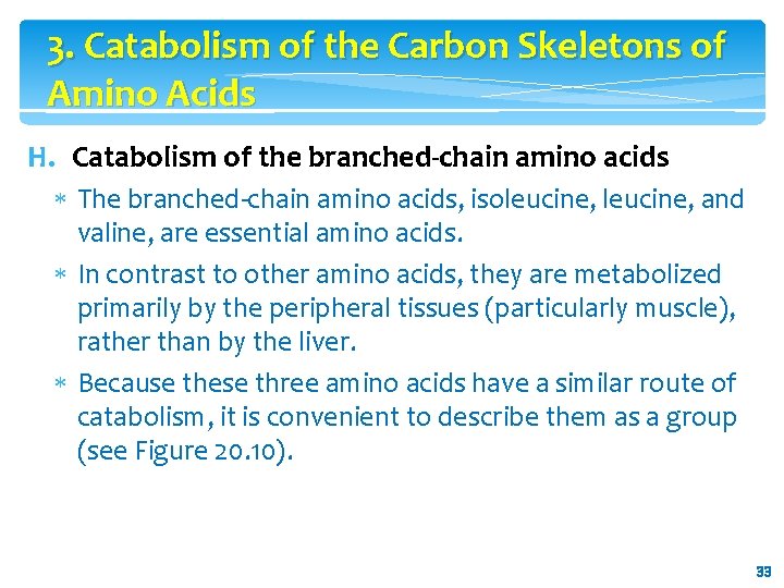 3. Catabolism of the Carbon Skeletons of Amino Acids H. Catabolism of the branched-chain