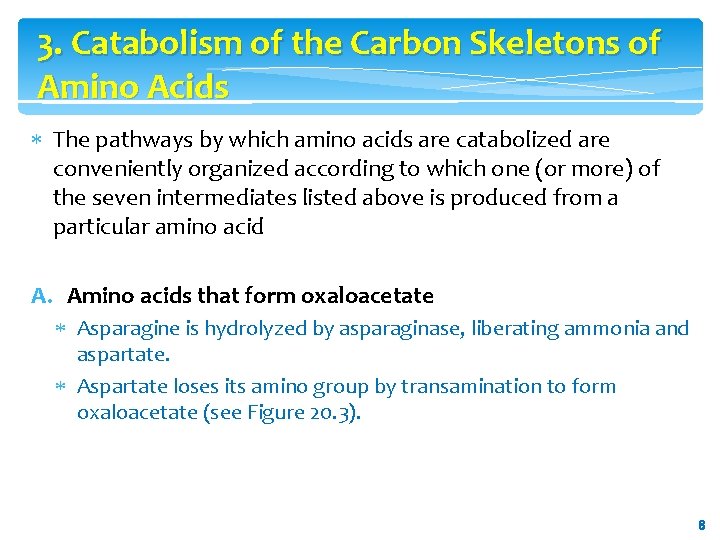 3. Catabolism of the Carbon Skeletons of Amino Acids The pathways by which amino