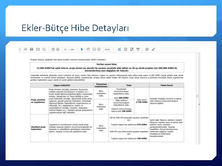 Ekler-Bütçe Hibe Detayları 