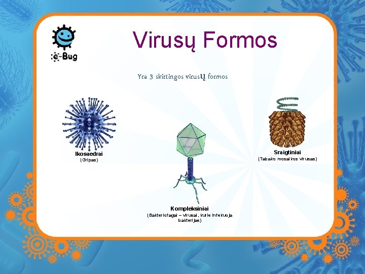 Virusų Formos Yra 3 skirtingos virusų formos Sraigtiniai Ikosaedrai (Tabako mosaikos virusas) (Gripas) Kompleksiniai
