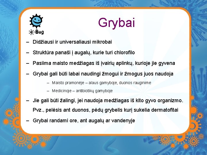 Grybai – Didžiausi ir universaliausi mikrobai – Struktūra panaši į augalų, kurie turi chlorofilo