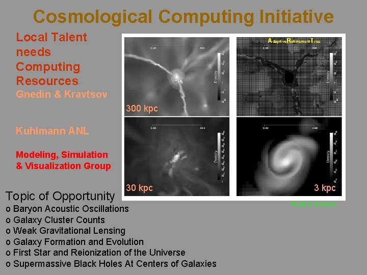 Cosmological Computing Initiative Local Talent needs Computing Resources Adaptive. Refinement. Tree Gnedin & Kravtsov