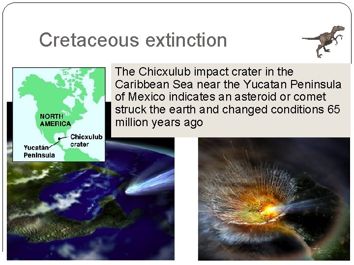 Cretaceous extinction The Chicxulub impact crater in the Caribbean Sea near the Yucatan Peninsula Cretaceous extinction The Chicxulub impact crater in the Caribbean Sea near the Yucatan Peninsula