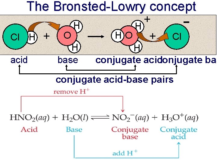 The Bronsted-Lowry concept Cl H acid + O H H base + H HO