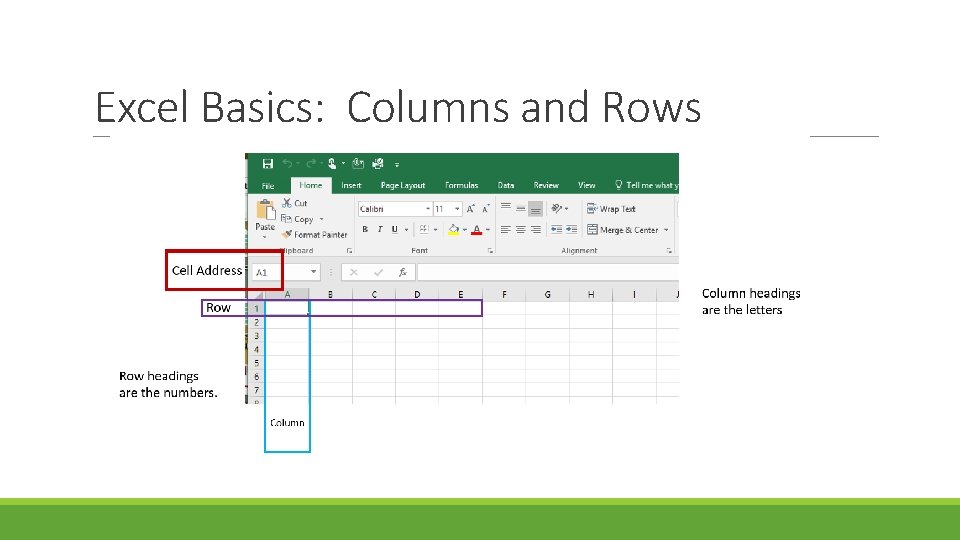 Excel Basics: Columns and Rows 