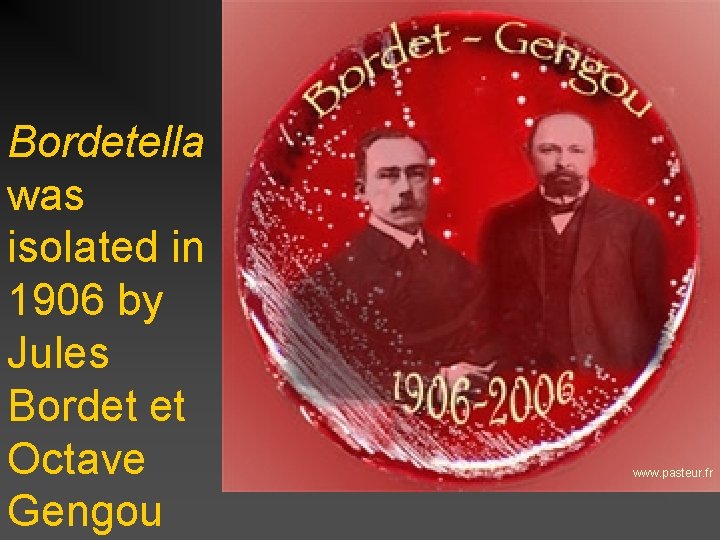 Bordetella was isolated in 1906 by Jules Bordet et Octave Gengou www. pasteur. fr