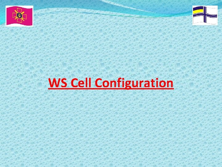 WS Cell Configuration 