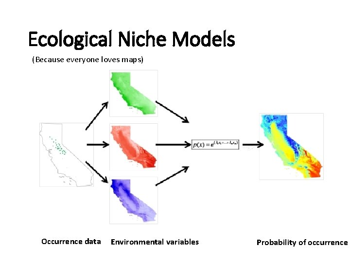 Ecological Niche Models (Because everyone loves maps) Occurrence data Environmental variables Probability of occurrence
