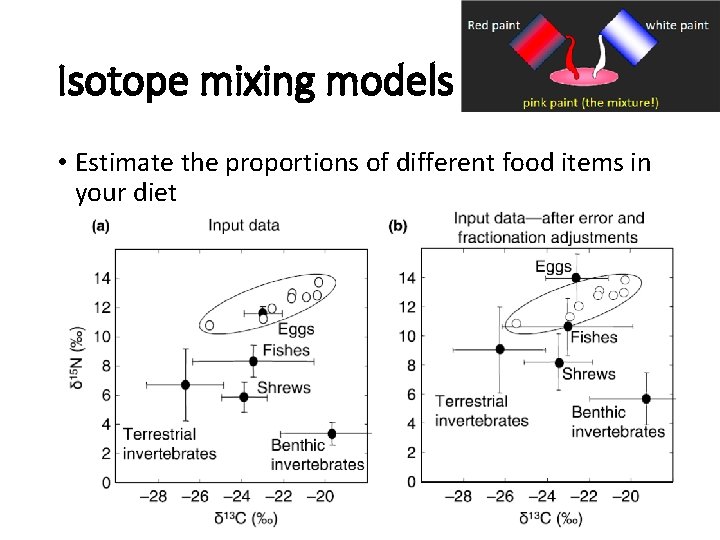 Isotope mixing models • Estimate the proportions of different food items in your diet