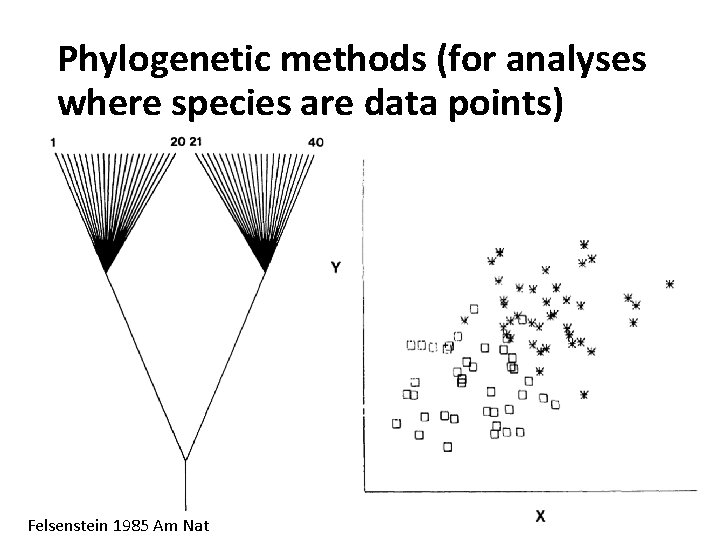 Phylogenetic methods (for analyses where species are data points) Felsenstein 1985 Am Nat 