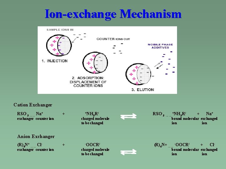 Ion-exchange Mechanism Cation Exchanger RSO-3 …… Na+ + exchanger counter ion +NH 3 R