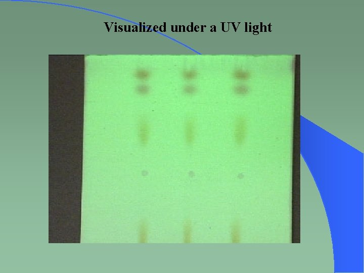 Visualized under a UV light 