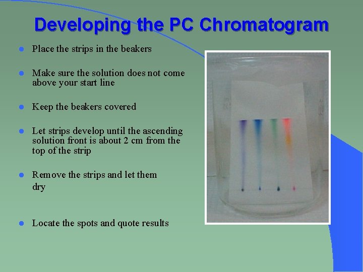 Developing the PC Chromatogram l Place the strips in the beakers l Make sure