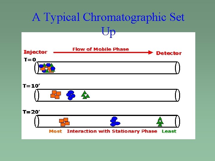 A Typical Chromatographic Set Up 