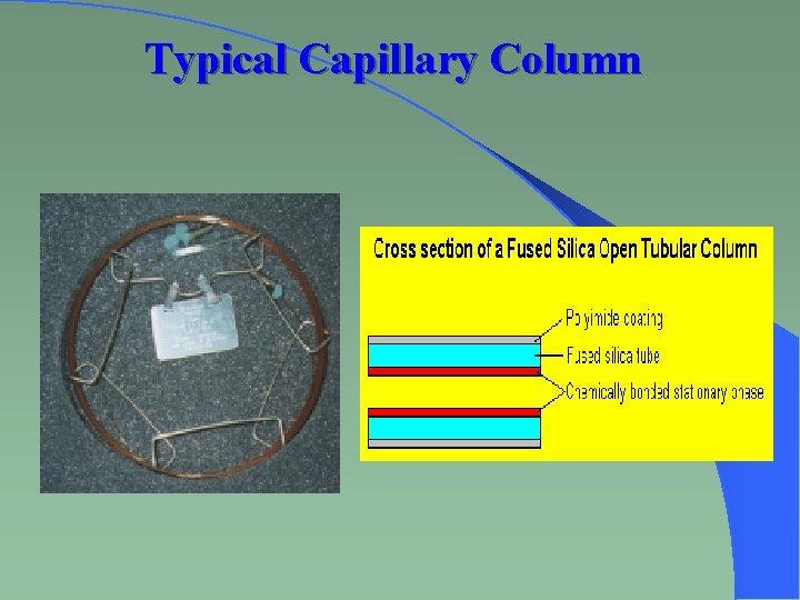 Typical Capillary Column 
