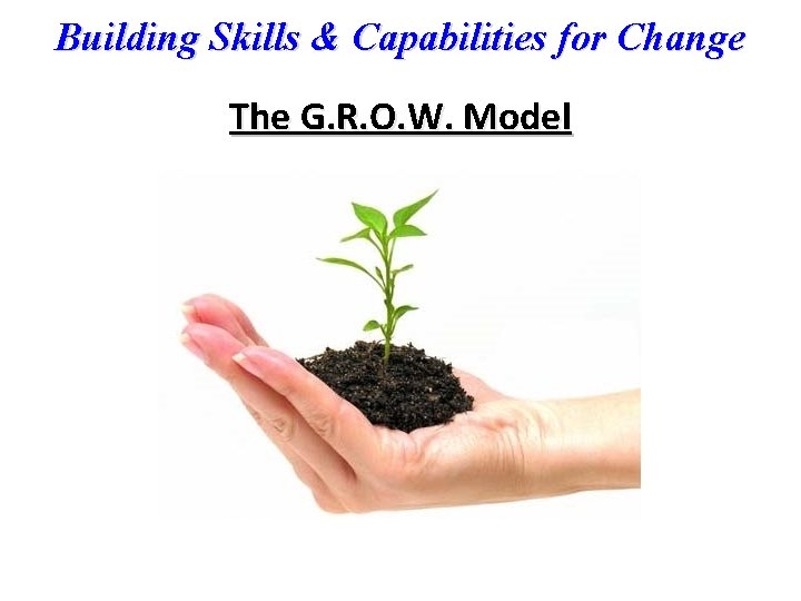 Building Skills & Capabilities for Change The G. R. O. W. Model 