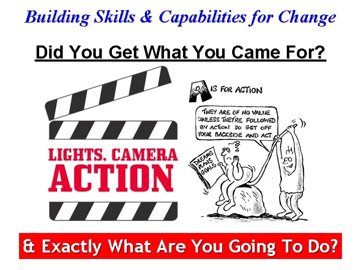 Building Skills & Capabilities for Change Did You Get What You Came For? &